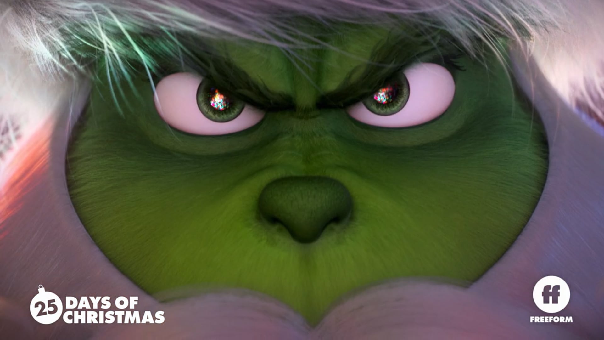 25 DAYS OF CHRISTMAS - MIRACULOUS