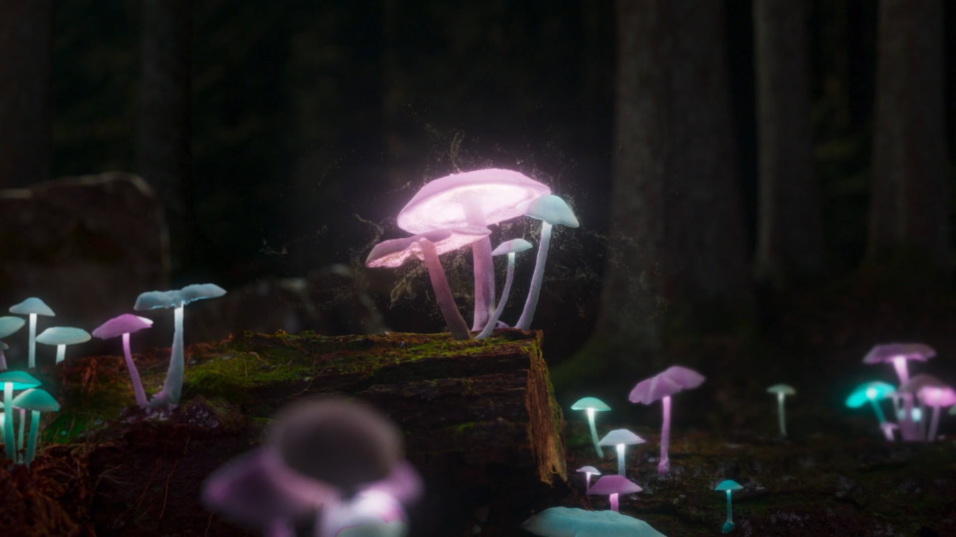 MOTHERLAND S2 - MUSHROOMS