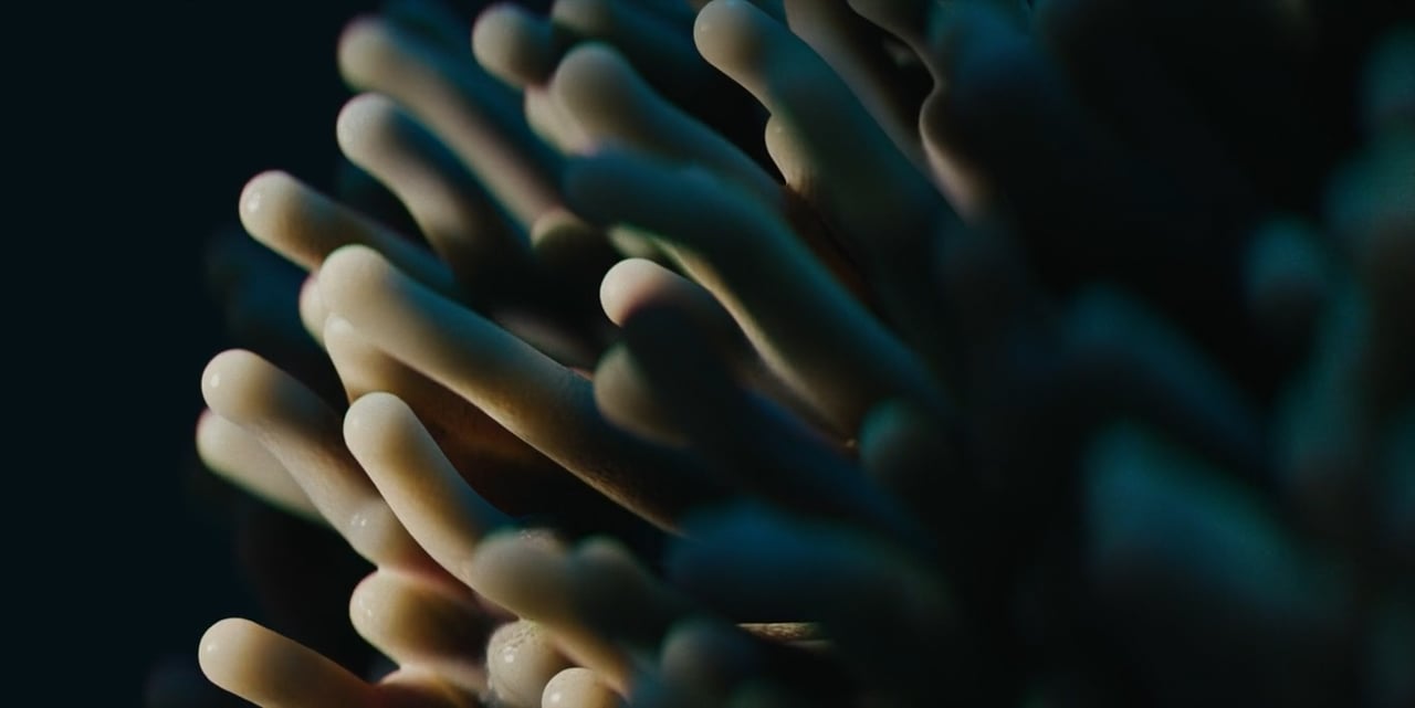 Ssam Cartier short film hosted on Vimeo