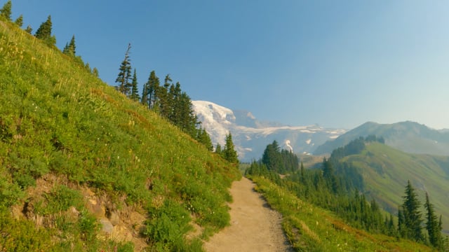Sunny Summer Day Virtual Walk to Panorama Point, Mt Rainier