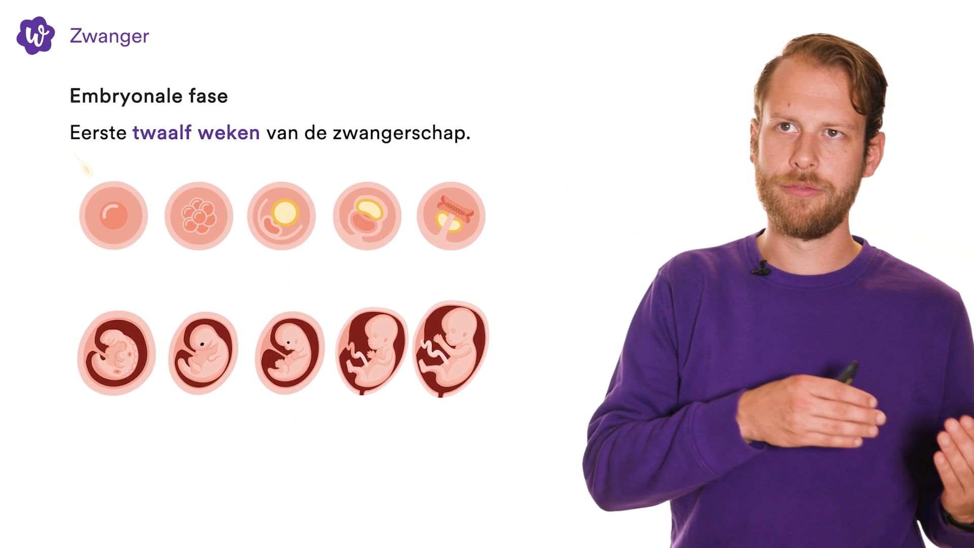 Zwanger WRTS