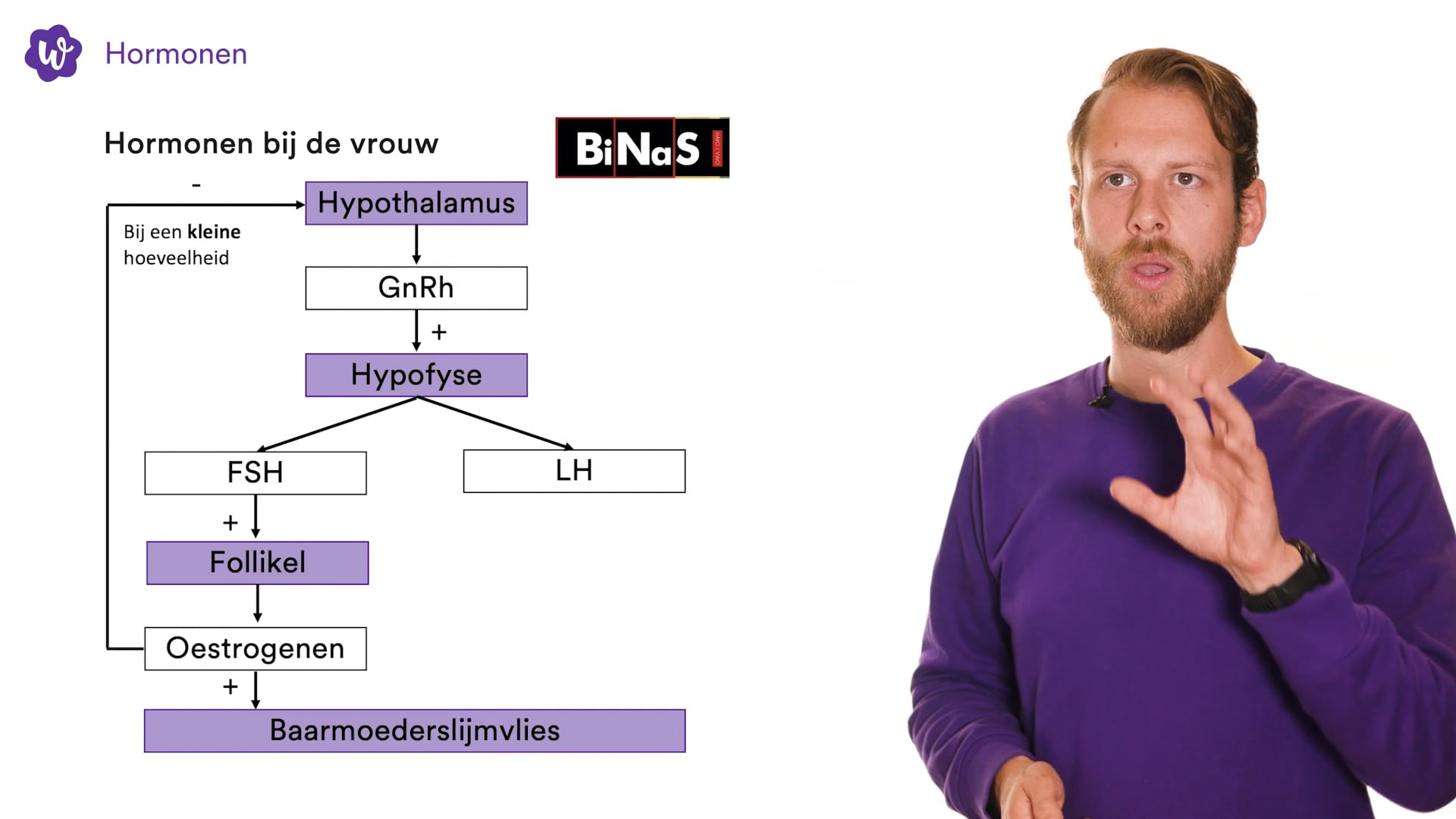 Hormonen oefenen StudyGo