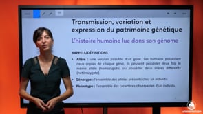 video : exercice-lhistoire-humaine-dans-son-genome-3727