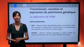 video : exercice-la-replication-de-ladn-3725