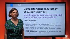 video : identification-du-centre-nerveux-implique-dans-le-reflexe-myotatique-soleaire-3639