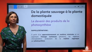 video : le-devenir-des-produits-de-la-photosynthese-3637