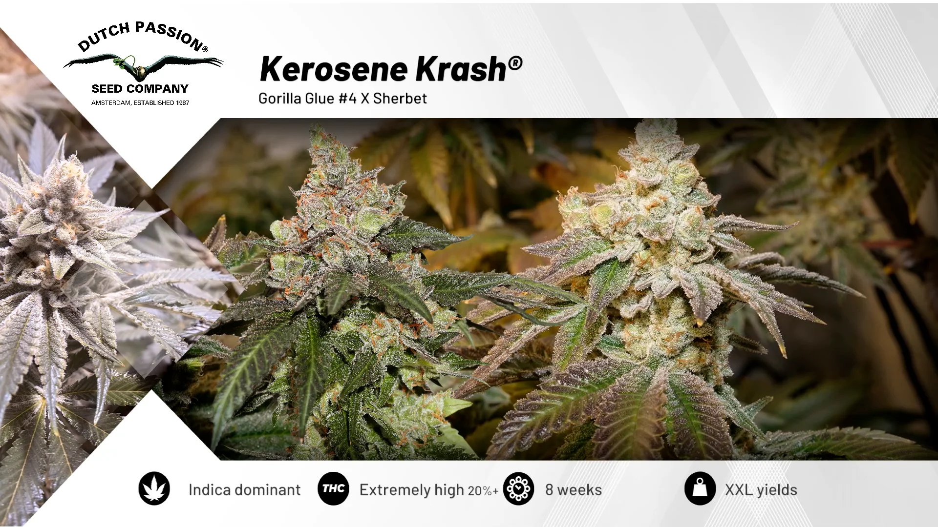 Kerosene Krash® on Vimeo