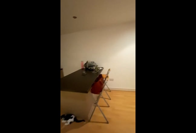 Video 1: