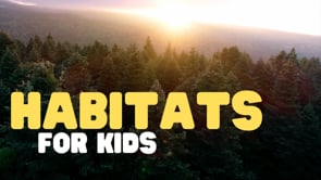 Vimeo Thumbnail