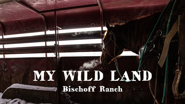 My Wild Land: Bischoff Ranch – Trailer