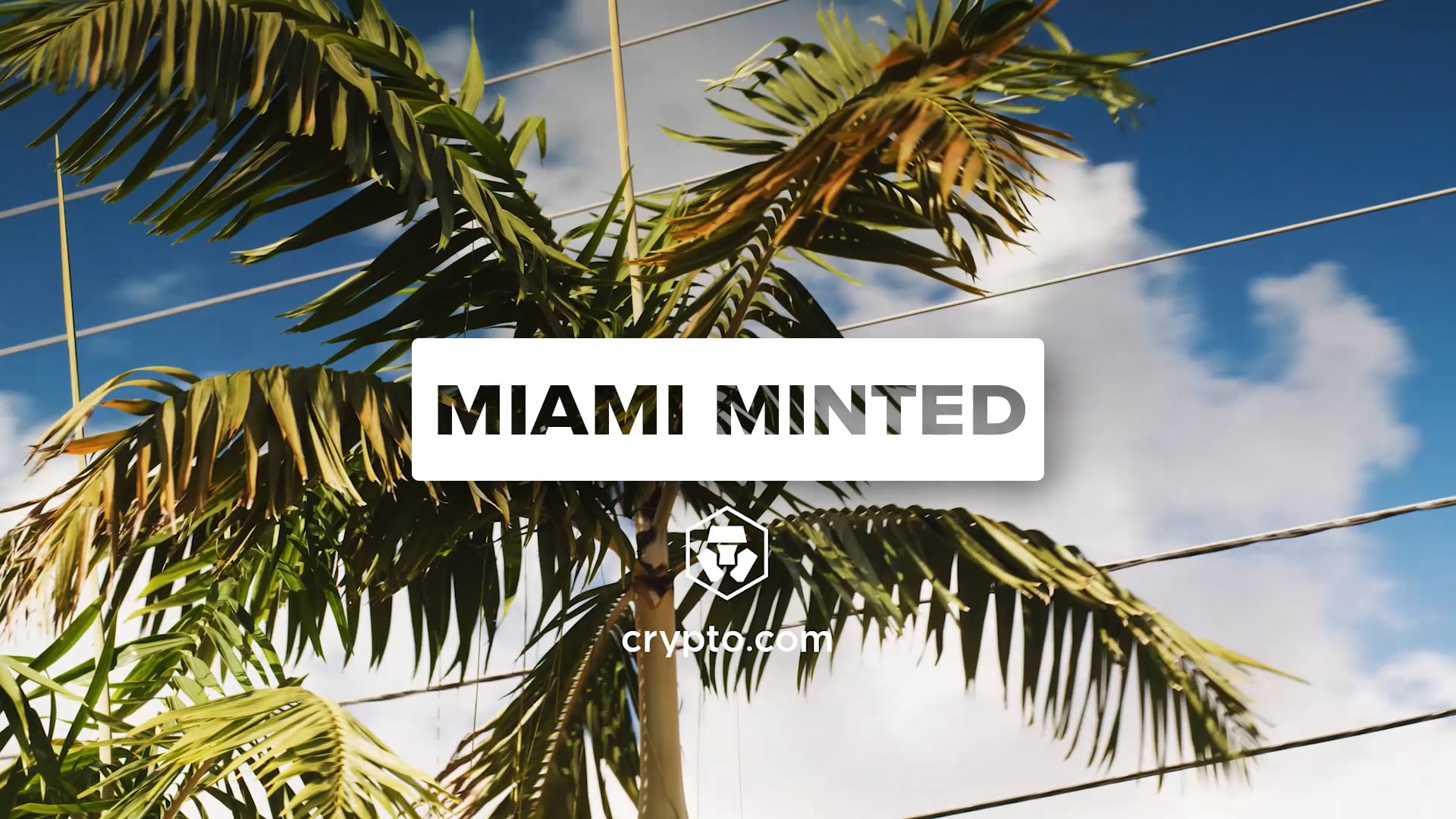 Miami Minted - The Making of the NFT Art Pieces