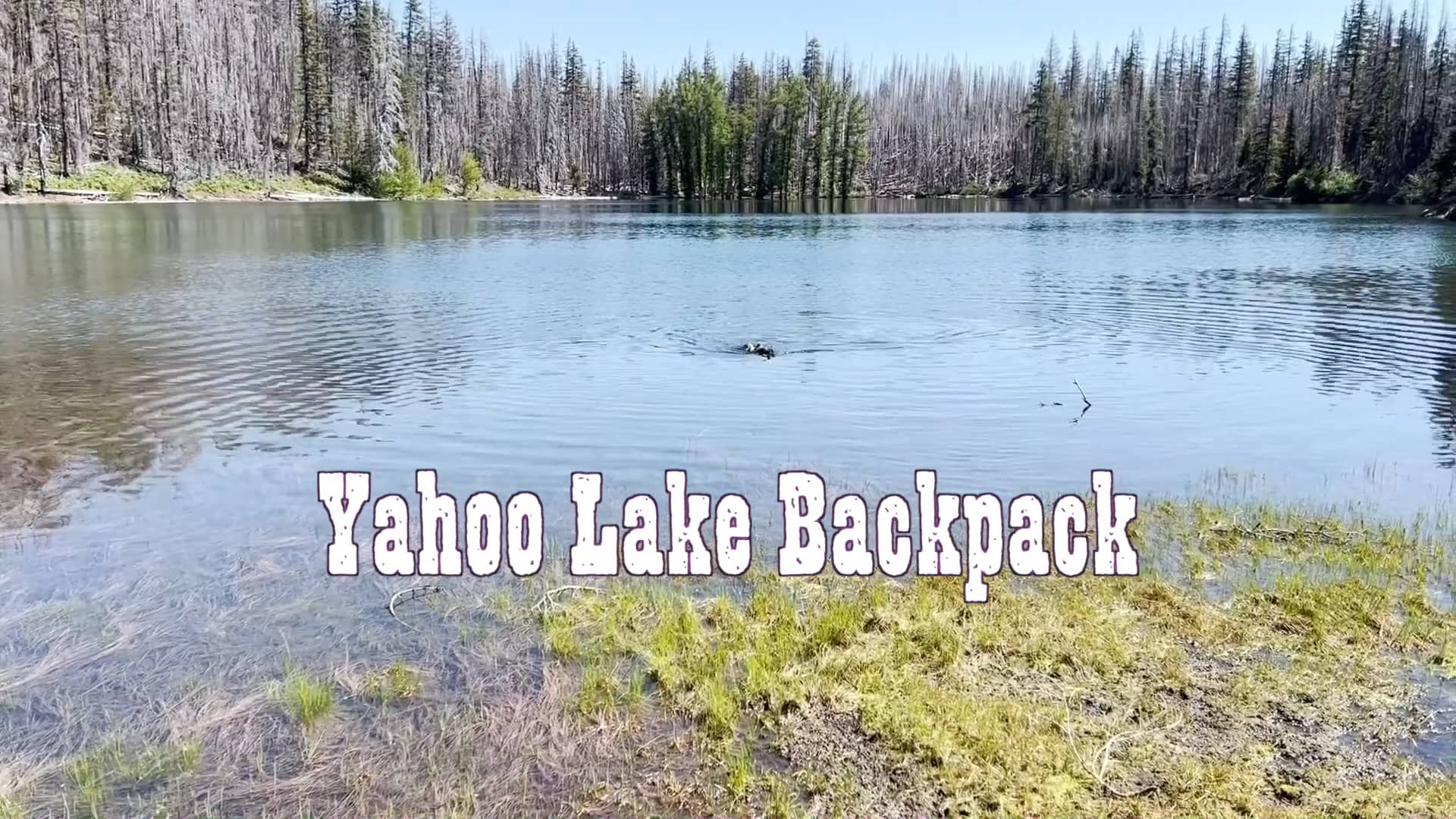 Yahoo Lake.m4v on Vimeo