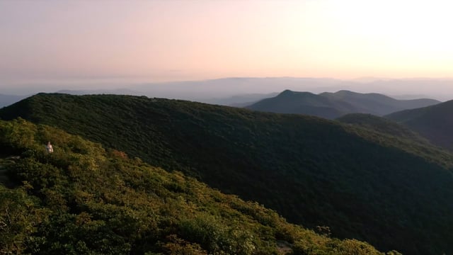 1485246600 f693f5339c7371247d3193d7fe76c2f070ce459bf999f290a90f6f3abfe782f2 d 640?region=us