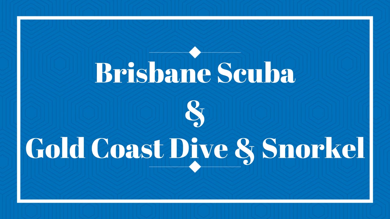 Brisbane Scuba Video Gallery Brisbane Scuba Dive Trips & Scuba