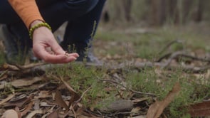 Living in our own national park