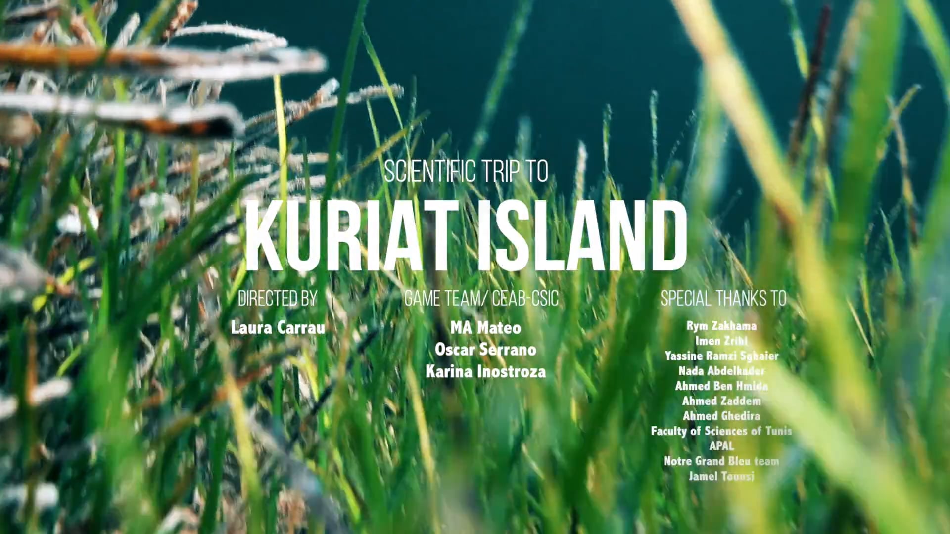 Teaser: Study of posidonia in Kuriat