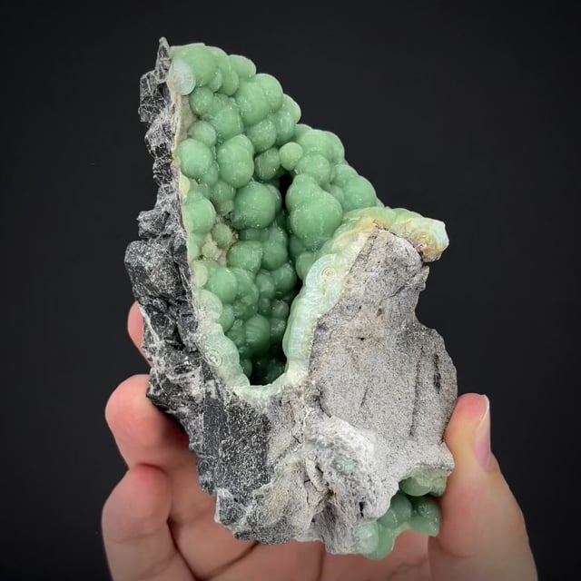 Wavellite (rich color) Hunt Coll.