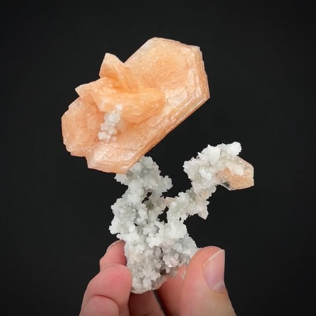 Amazing Stilbite on Chalcedony stalactites (Smale Coll.)