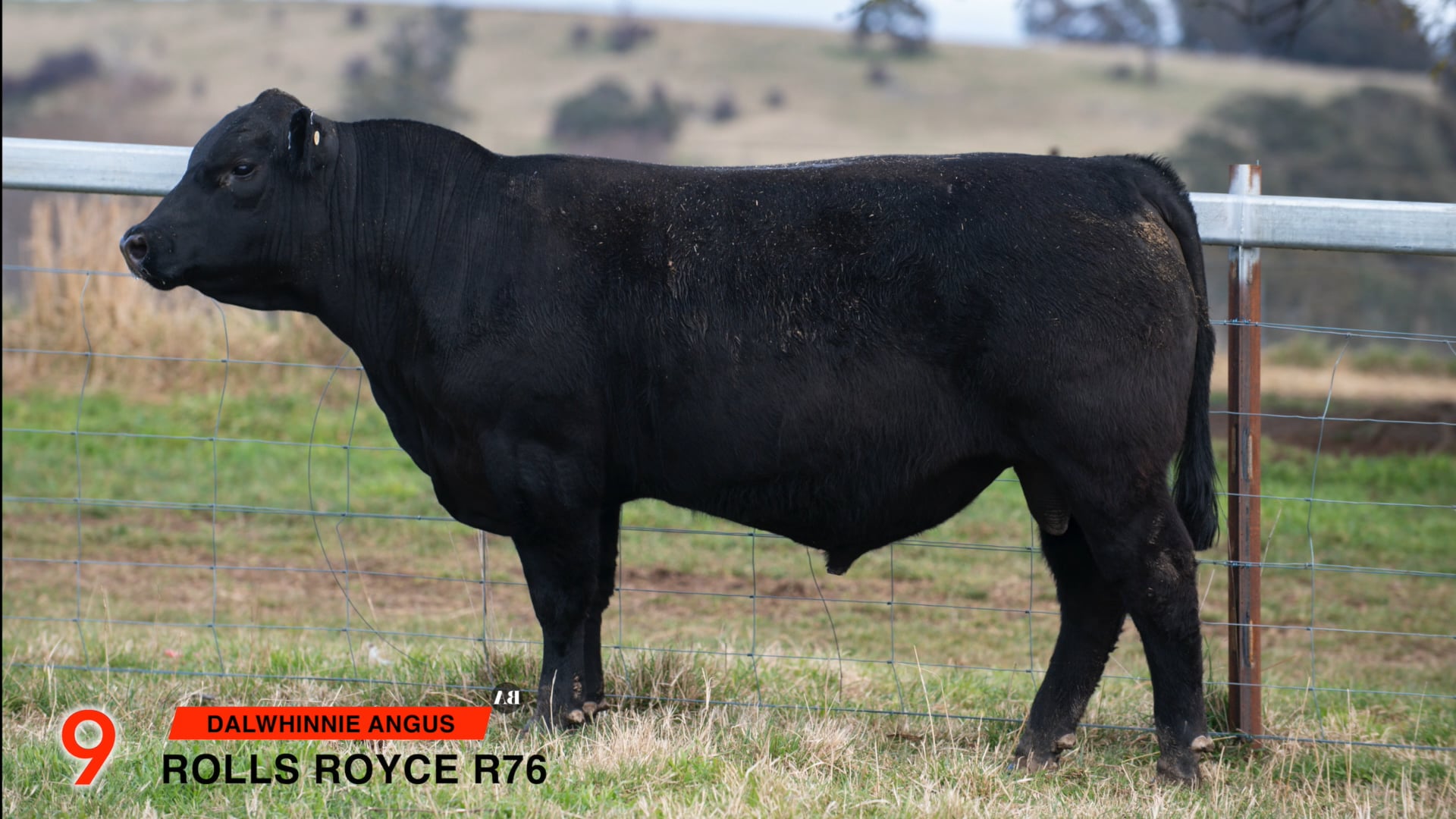 Lot 9 - Dalwhinnie R76 on Vimeo