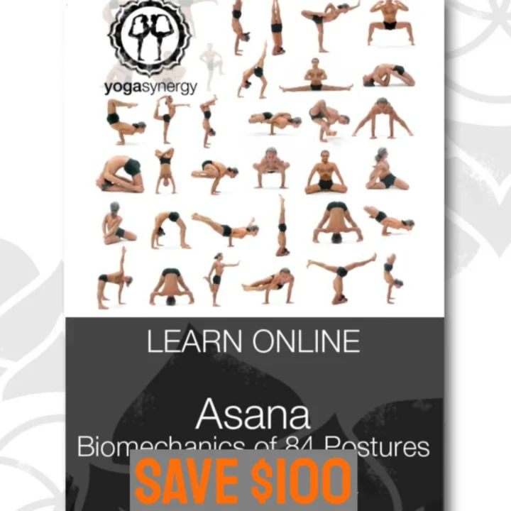 1485988288-