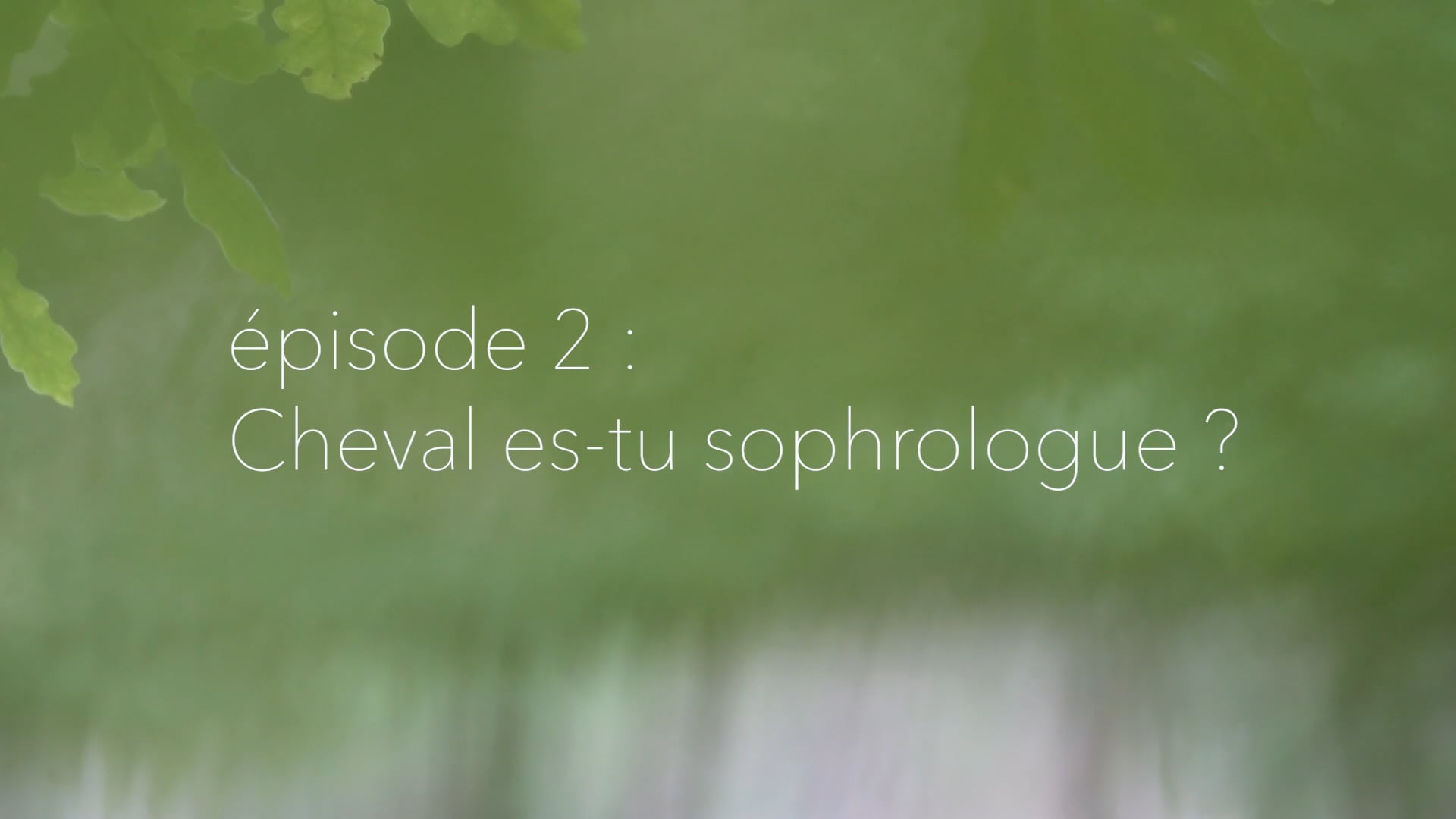 L'étincelle en Soi - Épisode 2