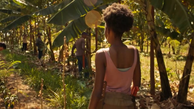 Novela Pantanal Globo – Agroforestry