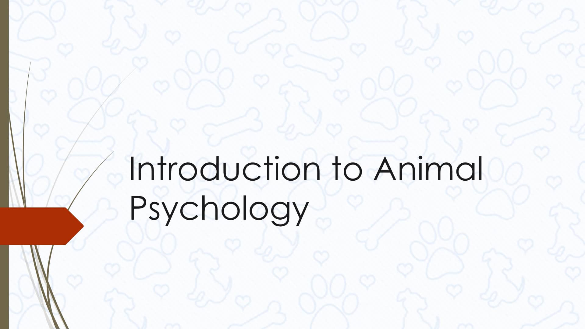 2 Introduction to Animal Psychology on Vimeo
