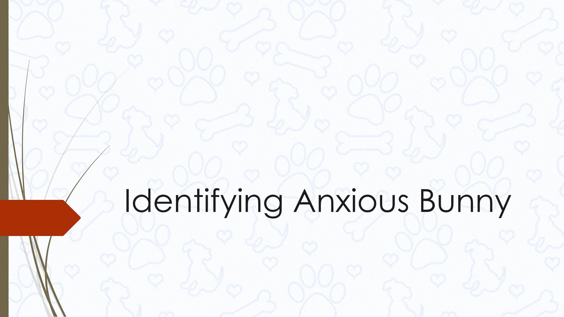 31 Identifying Anxious Bunny on Vimeo
