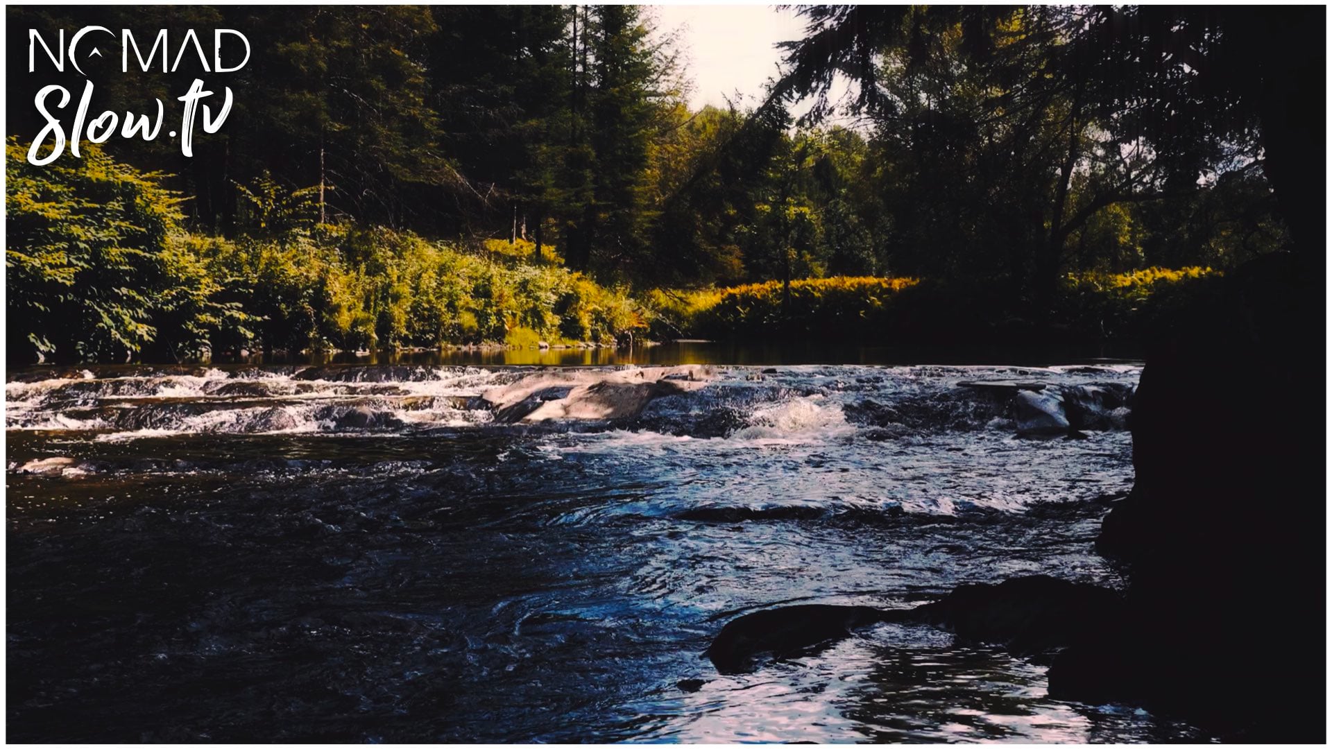 Ducks on the Tomifobia River - Where in Literally