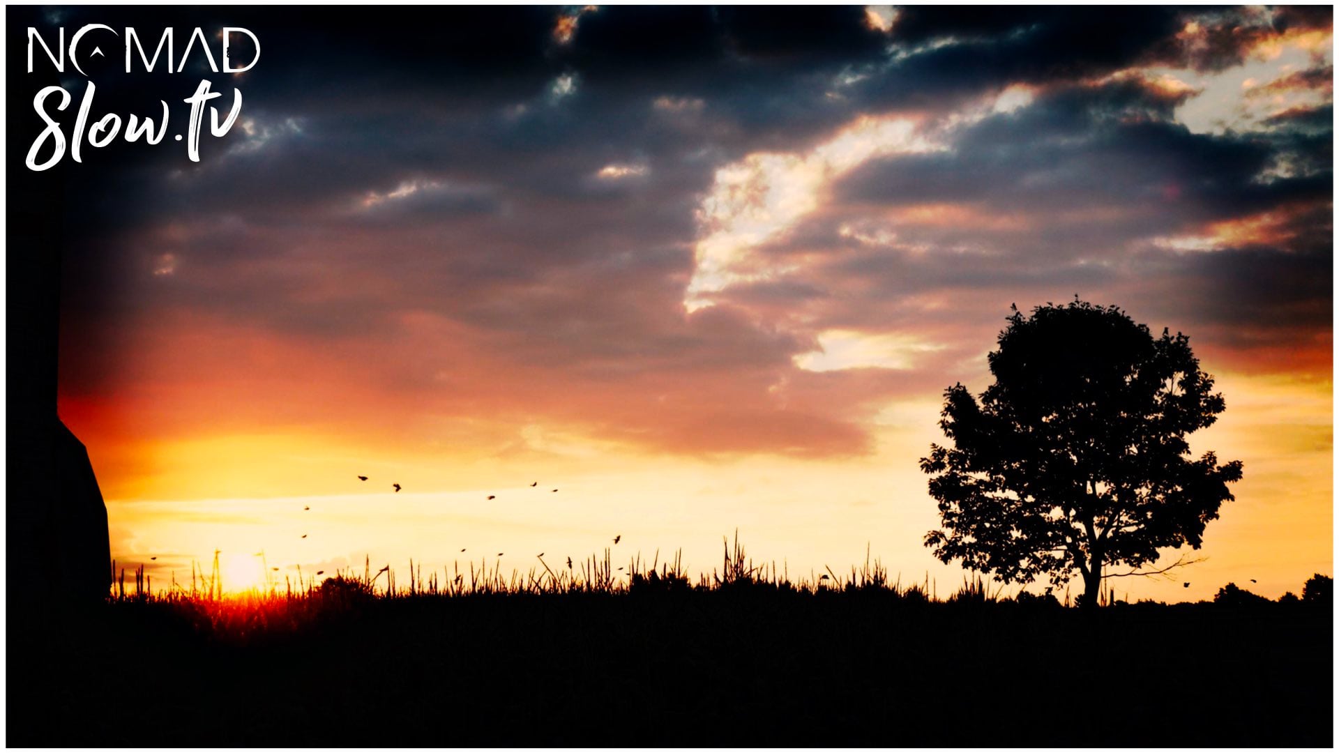 The Magician Farmer - Rhoutier Farm Sunrise Birds