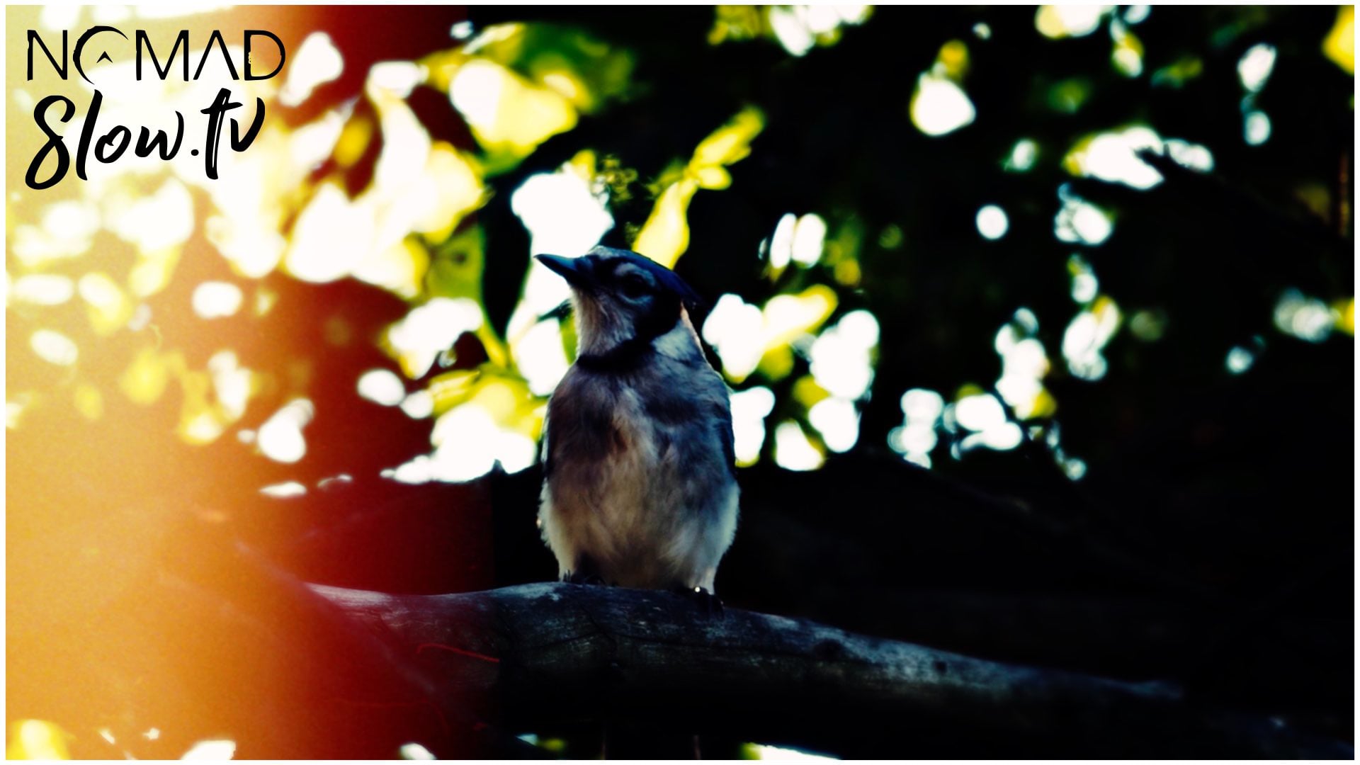 Prism - 05 - Pools of Light