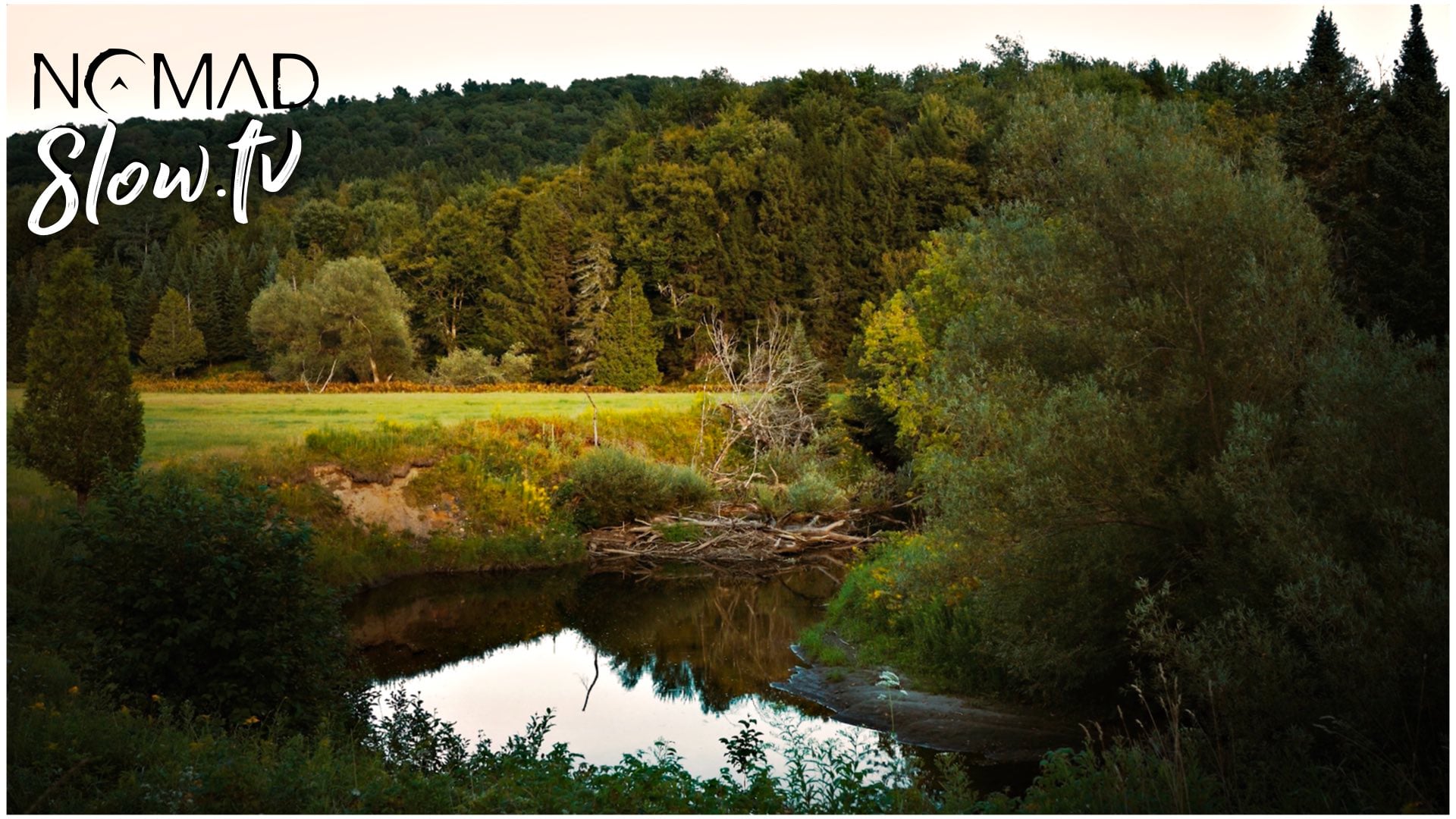 The Image - 03 - Pools of Light