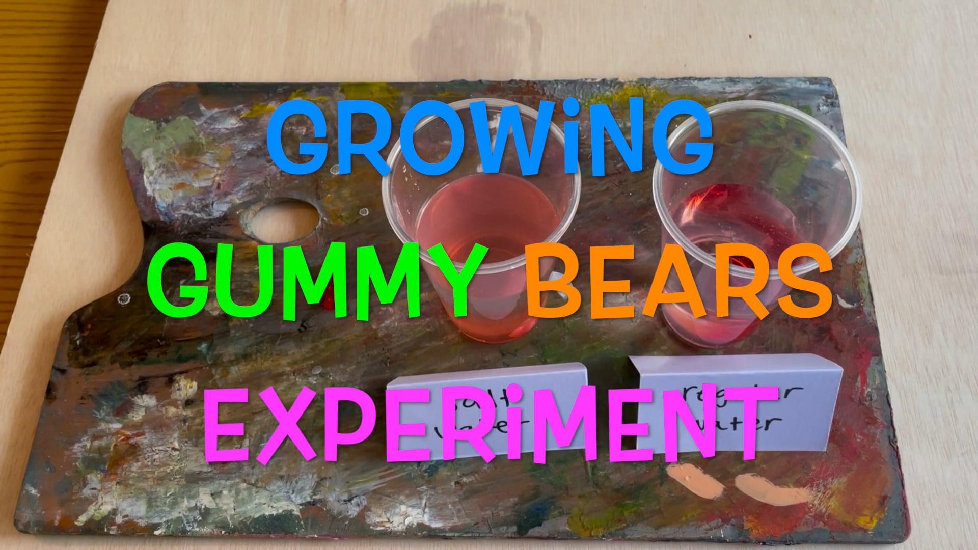 Growing Gummy Bears Experiment on Vimeo