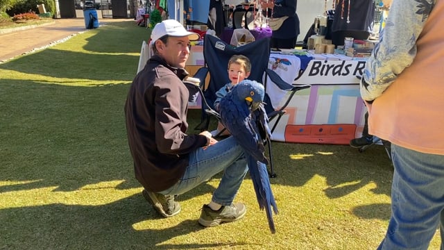 Man with a parrot