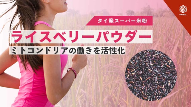 ミトコンアップ ライスベリースムージー ショップ激安 コスメ・香水