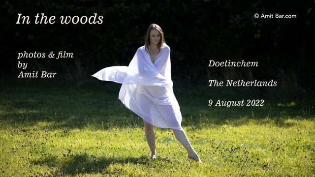 Nudes by Amit Bar on Vimeo