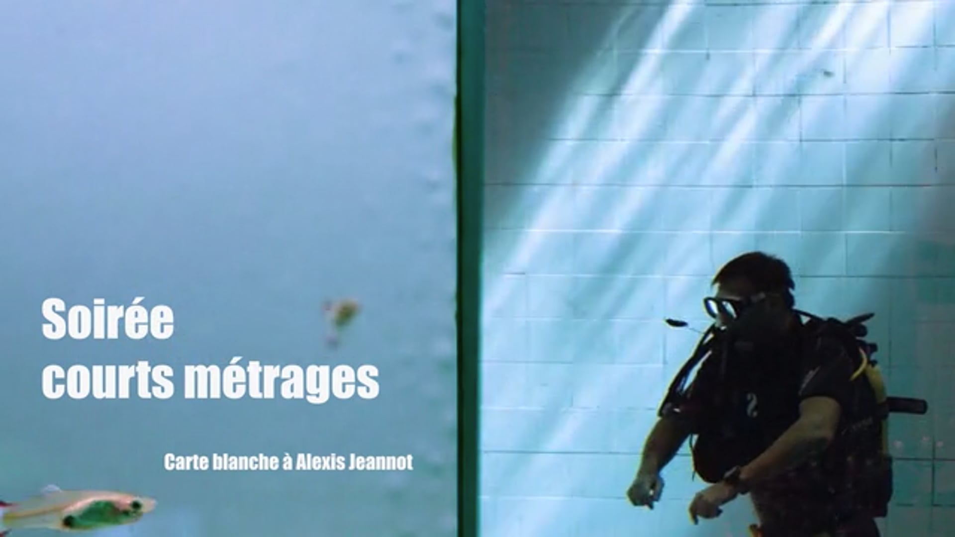TEASER "Soirée courts-métrages, carte blanche à Alexis Jeannot"