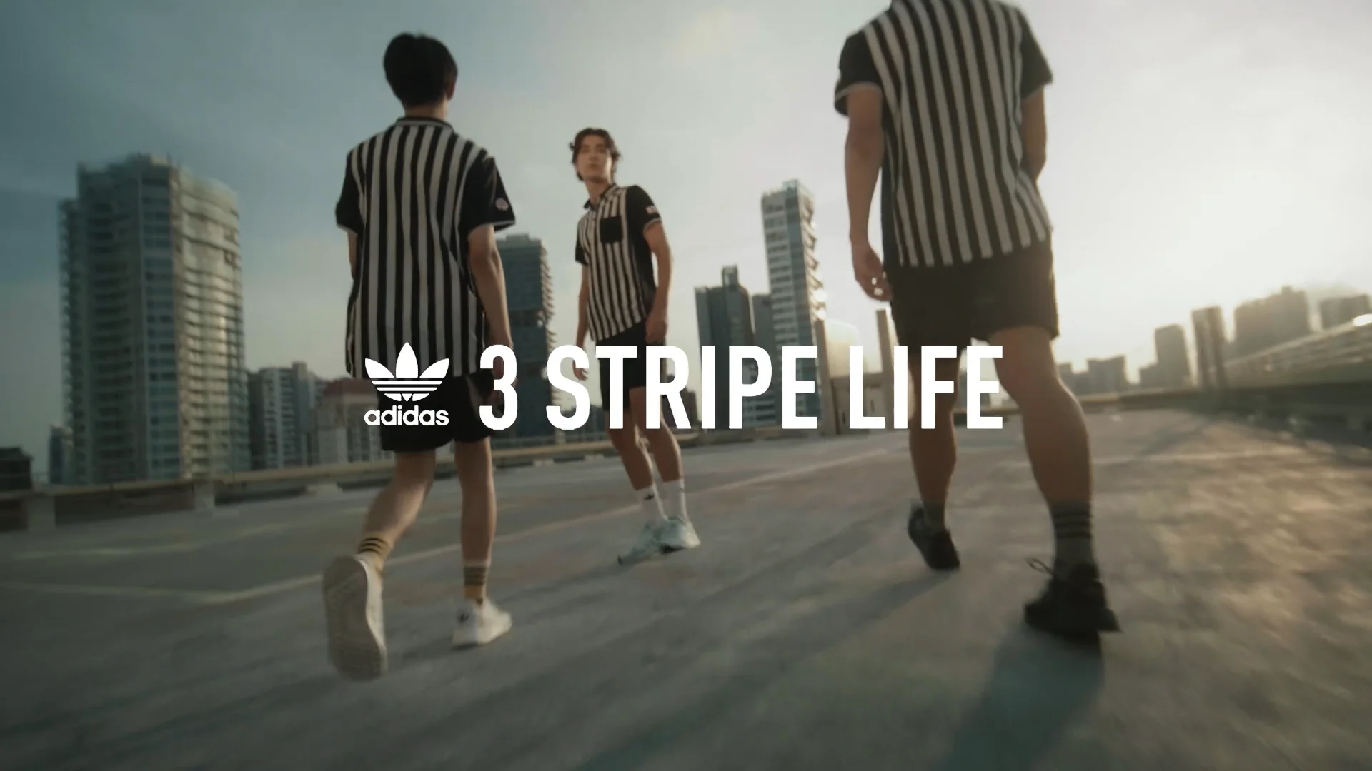 The store stripe life