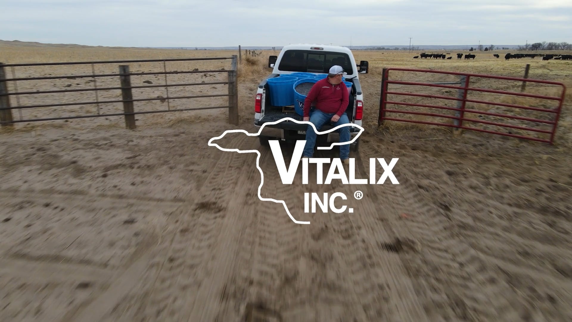 Vitalix Partnerships (Nebraska) on Vimeo