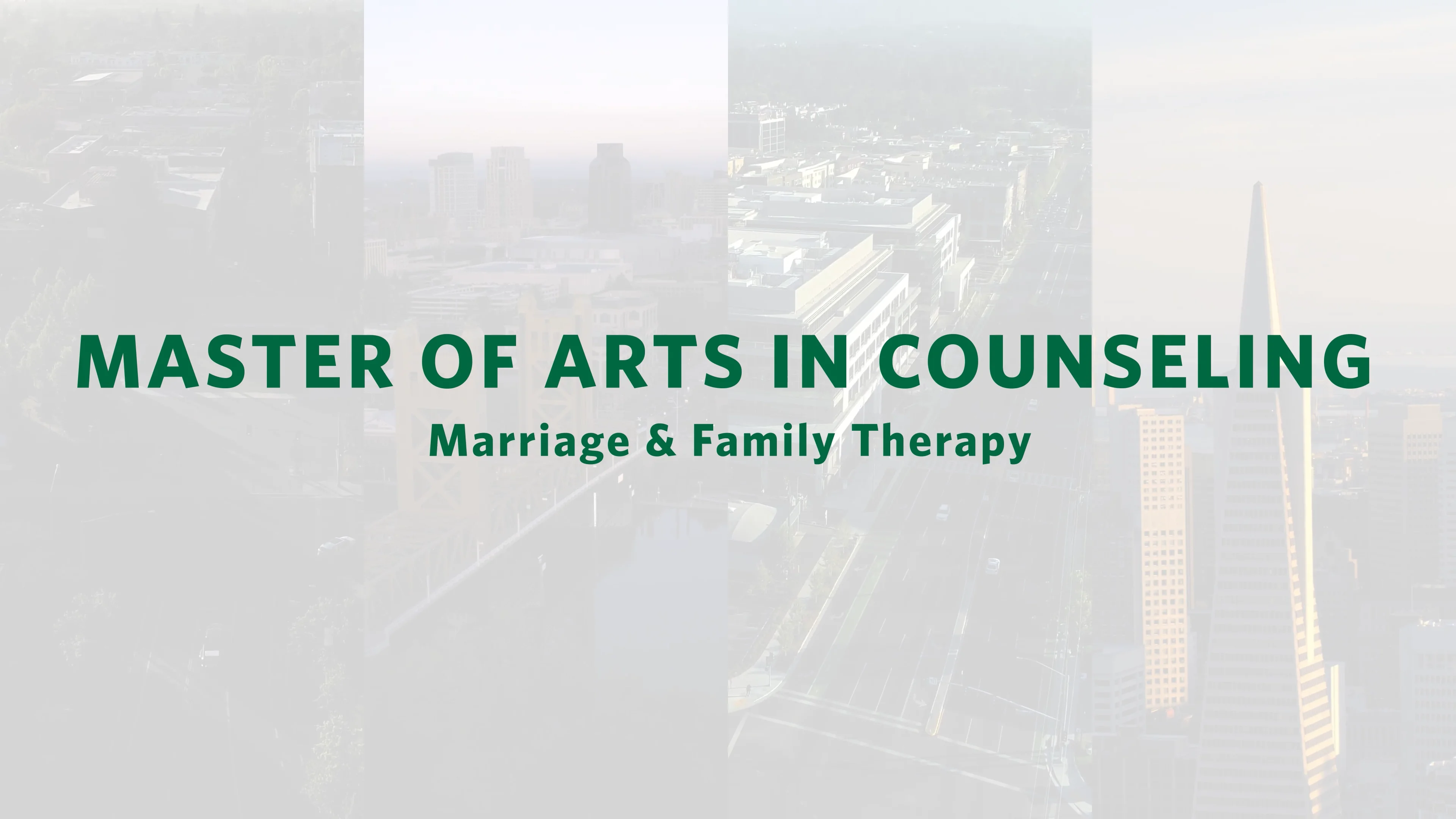 Marriage &amp; Family Therapy