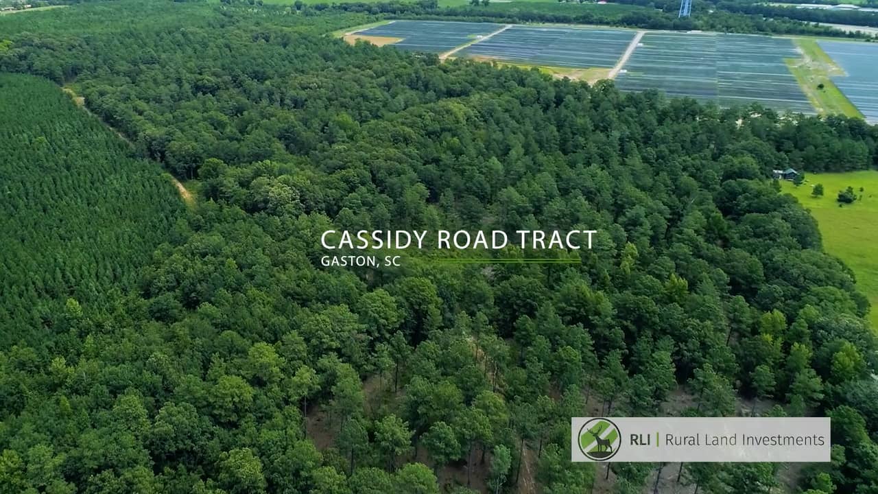 Cassidy Road Tract Gaston, SC (Lexington County) on Vimeo