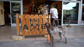 Axe Throwing Reno.mp4