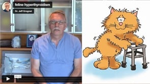 Watch out for This Feline Disease