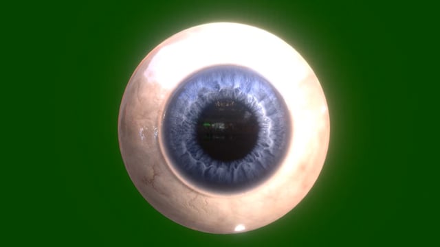 Eye, Eyeball, Vision. Free Stock Video - Pixabay