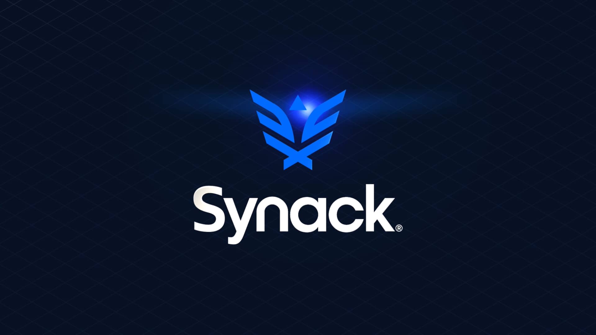 Synack - Video Brand Elements.mov on Vimeo