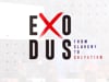 Exodus 2 | You Can Trust God  | Troy Nicholson | 8.14.22