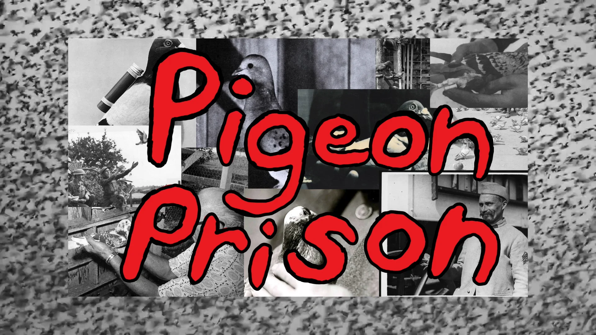 Pigeon Prison on Vimeo