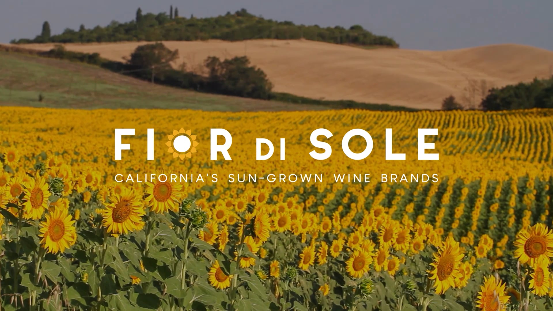 Fior Di Sole
