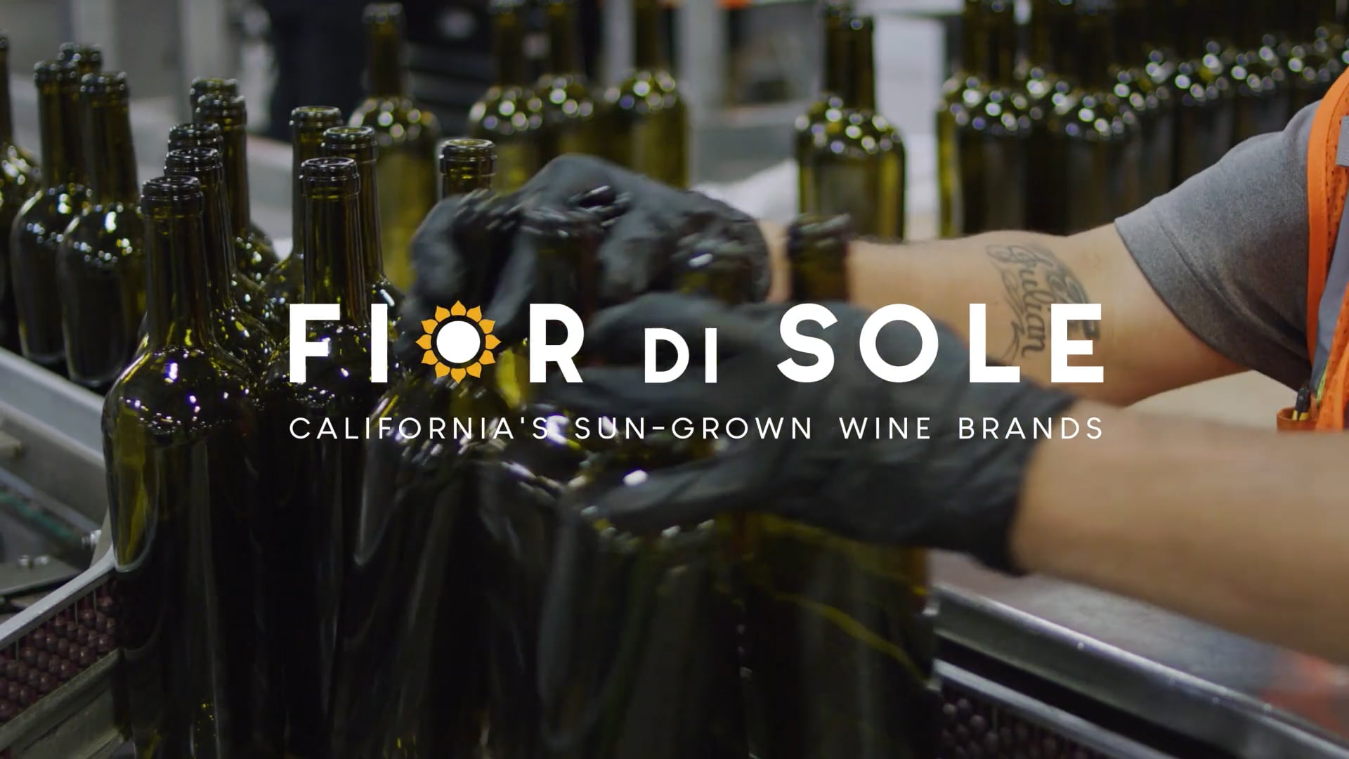 Fior Di Sole