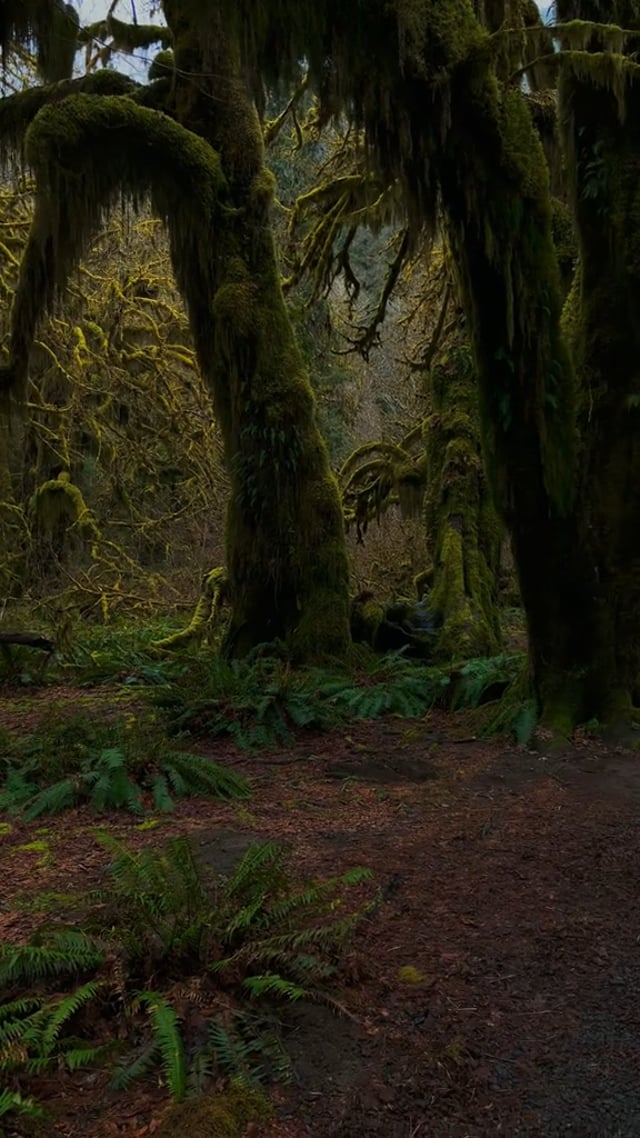 Dakota Elliott on Vimeo